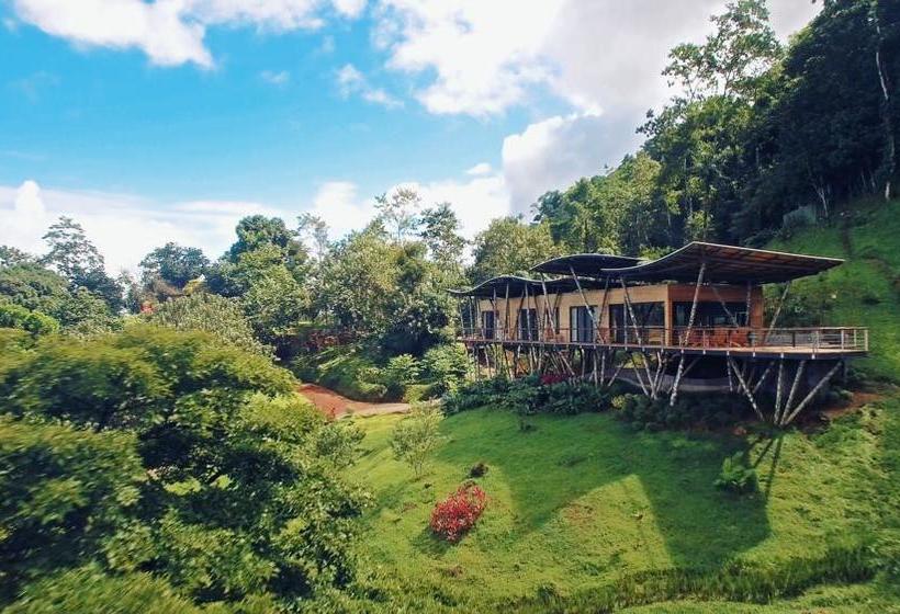 בית מלון כפרי Origins Lodge