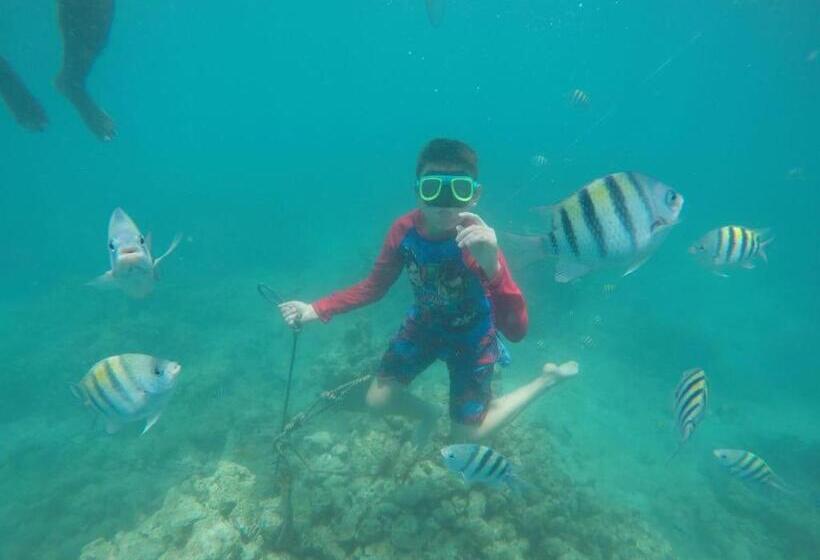 בית מלון כפרי Pura Vida Baru   La Casa Del Cholo