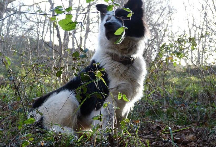 فندق Rural Los Texos