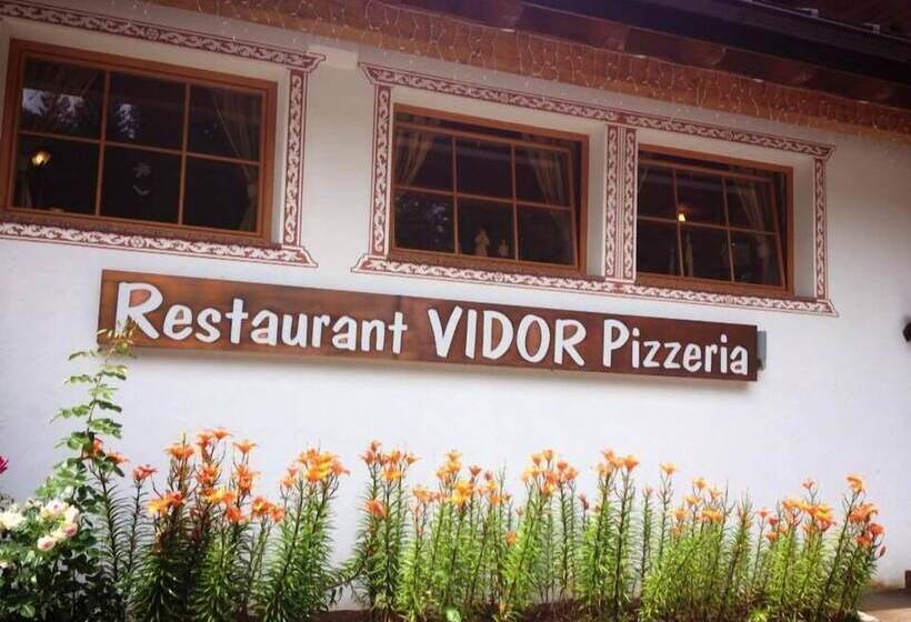 酒店 Vidor Resort