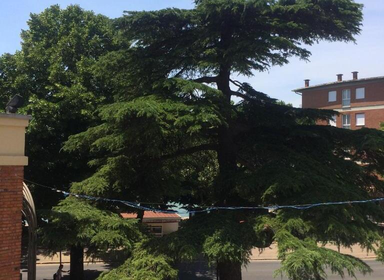 L'arco B&b Di Charme