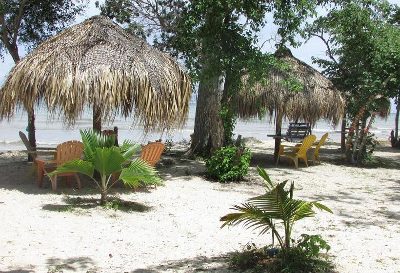 ユースホステル Isla Luna Beach Barú