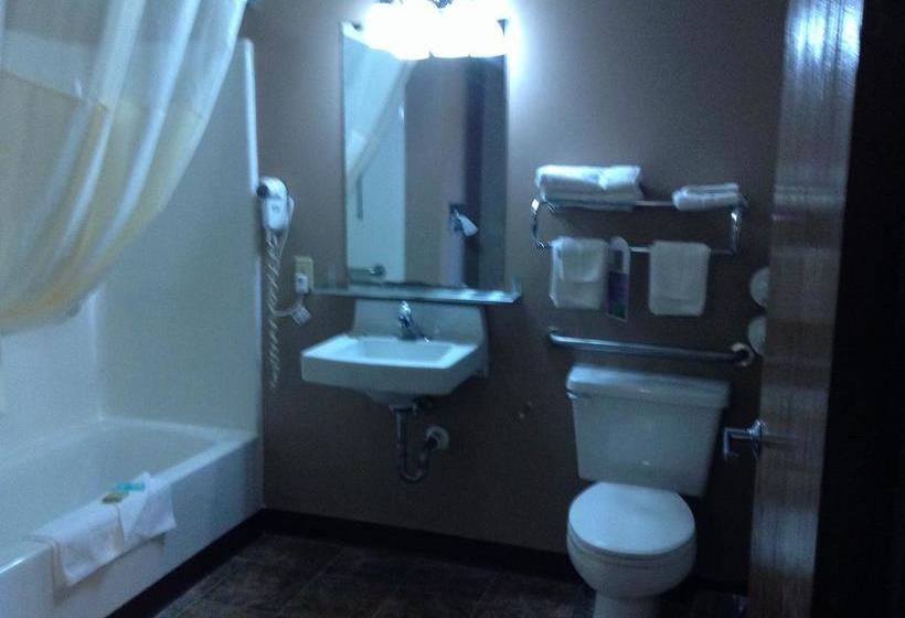 모텔 Heartland Hotel & Suites