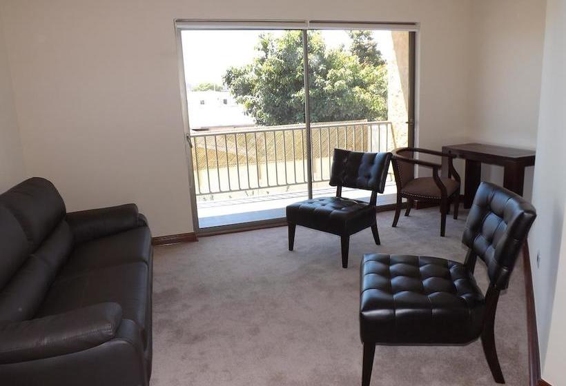 Nuevo Hotel Constitucion