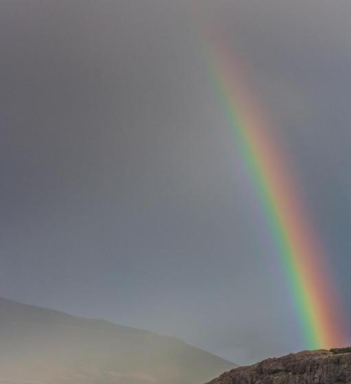 Refugio Chalten Hostel