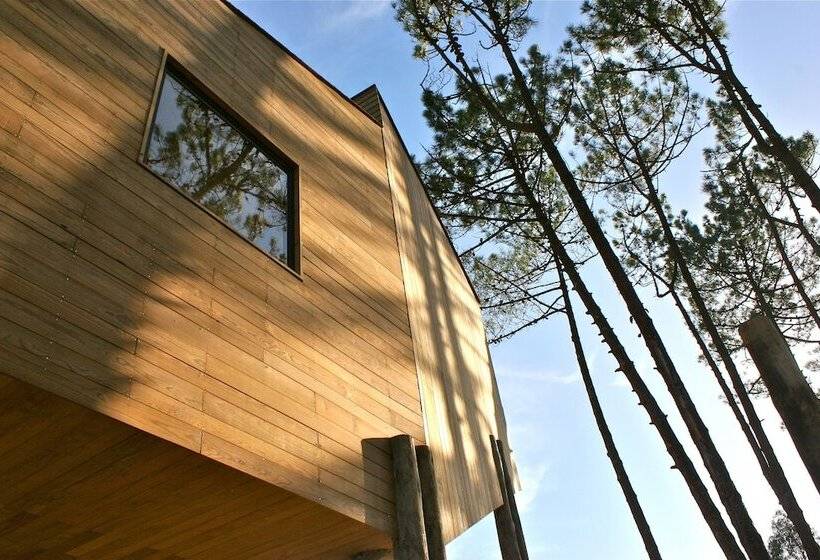 리조트 Bukubaki Eco Surf