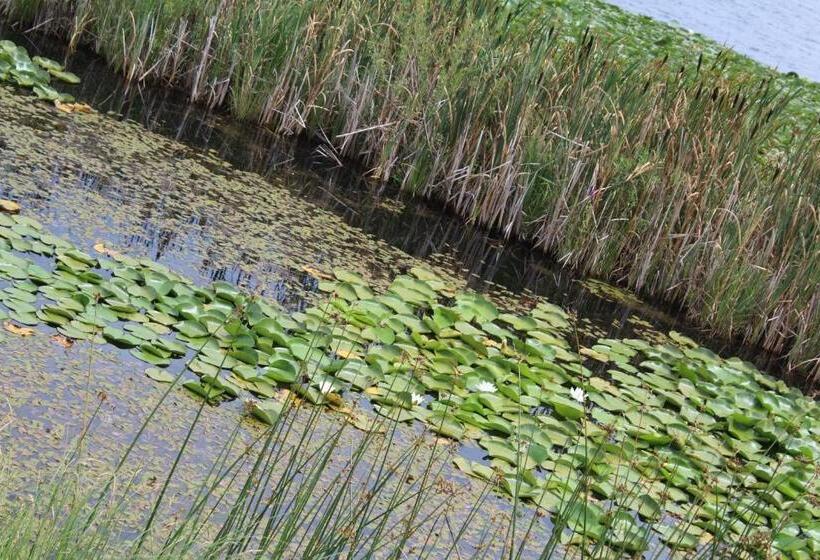 Ruzanna's Bed & Breakfast