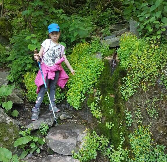 Ruzanna's Bed & Breakfast