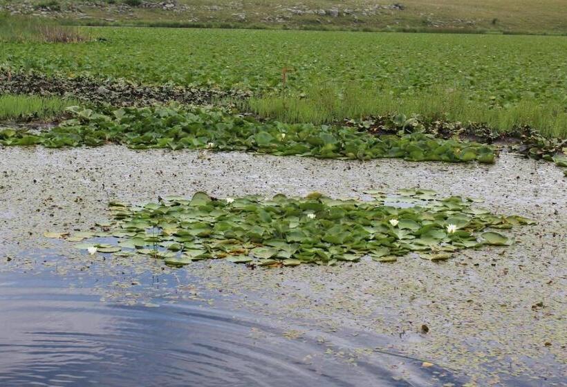 Ruzanna's Bed & Breakfast