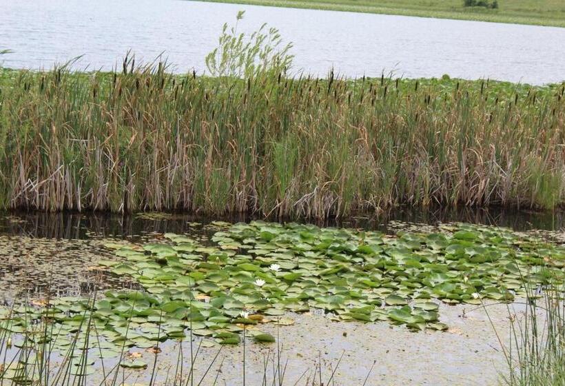 Ruzanna's Bed & Breakfast