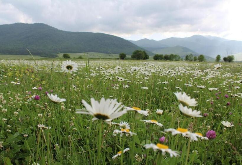 Ruzanna's Bed & Breakfast