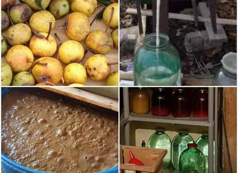 Ruzanna's Bed & Breakfast