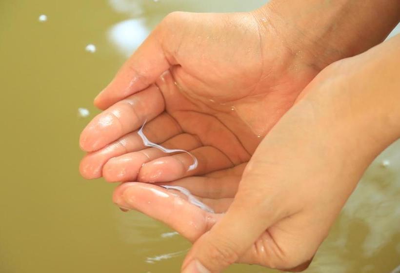 ریوکان Kairoukan