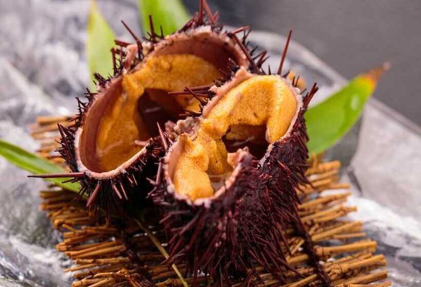 ریوکان View Hotel Iki