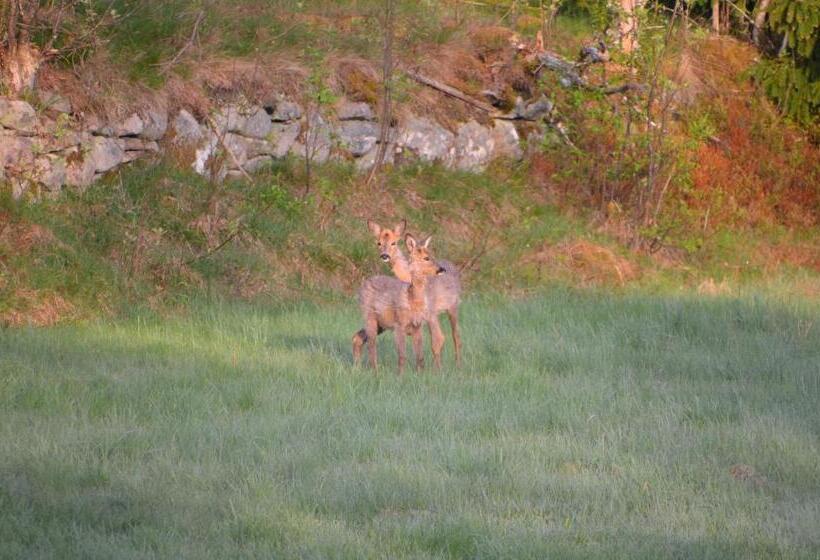Södra Ljunga Vandrarhem