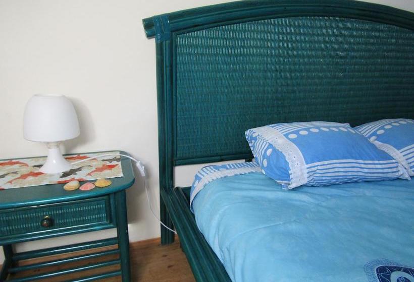 West Coast Surf Hostel