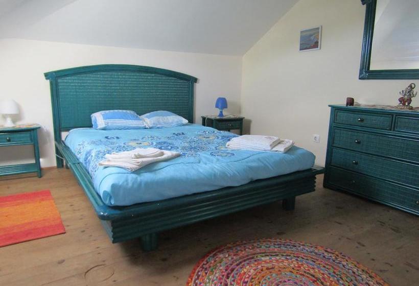 West Coast Surf Hostel