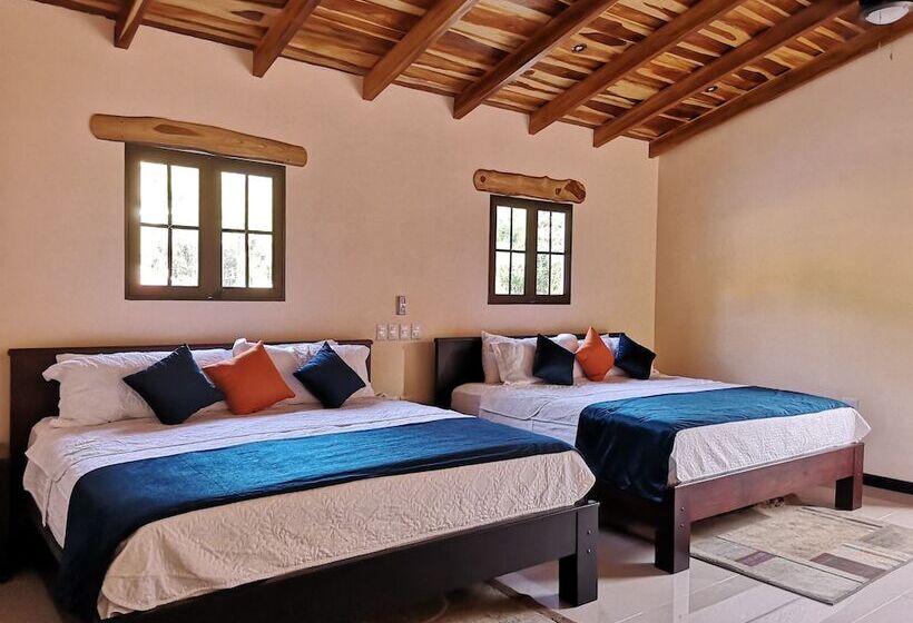 ユースホステル Millenium Manuel Antonio Park And Beach