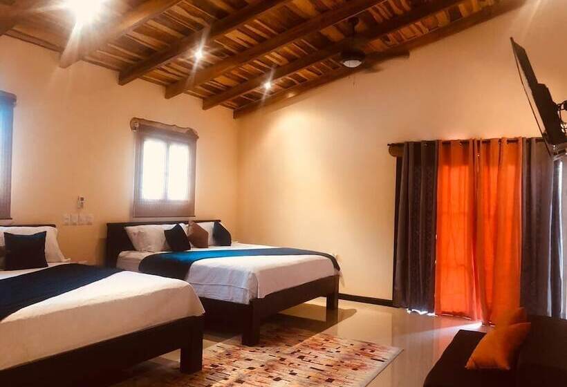 ユースホステル Millenium Manuel Antonio Park And Beach