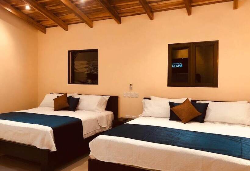 ユースホステル Millenium Manuel Antonio Park And Beach