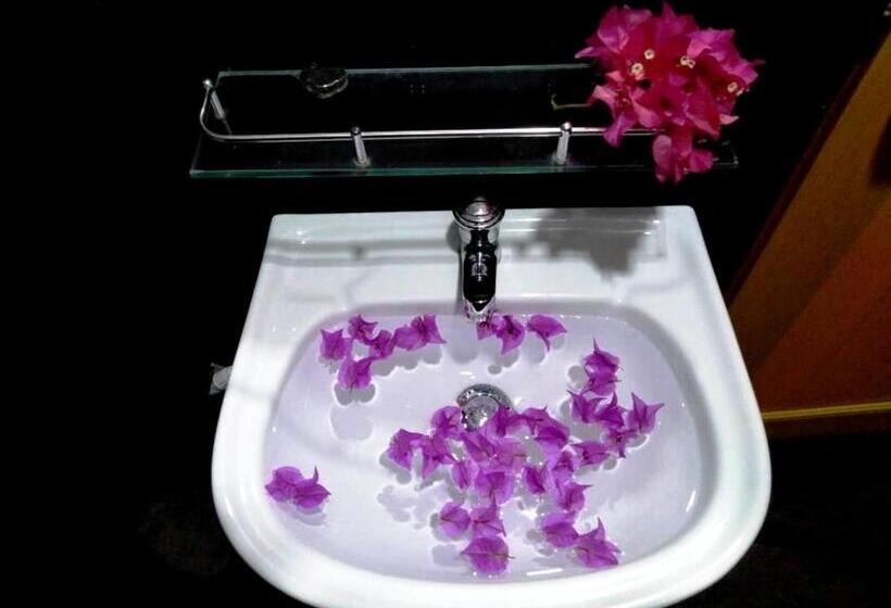 Bed and Breakfast Nature Lovers Safari Resort