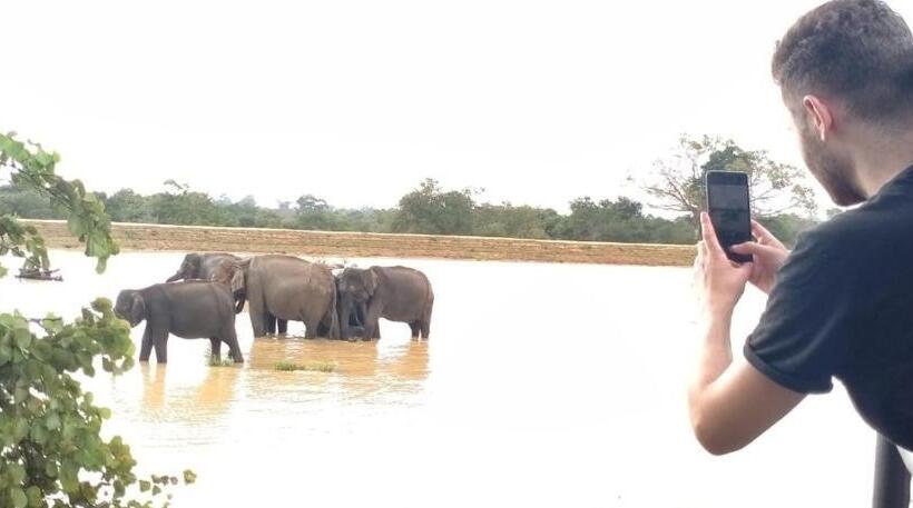 Bed and Breakfast Nature Lovers Safari Resort