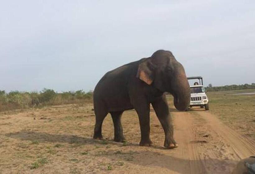 Bed and Breakfast Nature Lovers Safari Resort