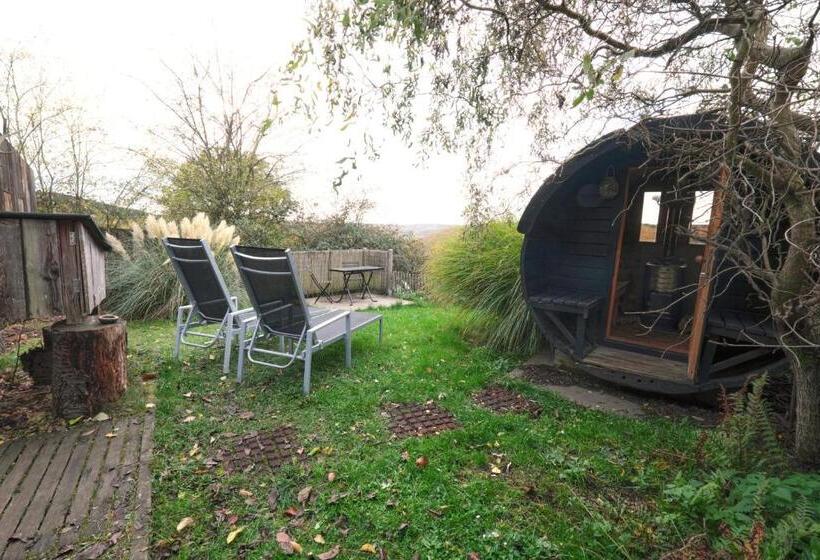 Bed and Breakfast Maison D'hôtes Cerf'titude