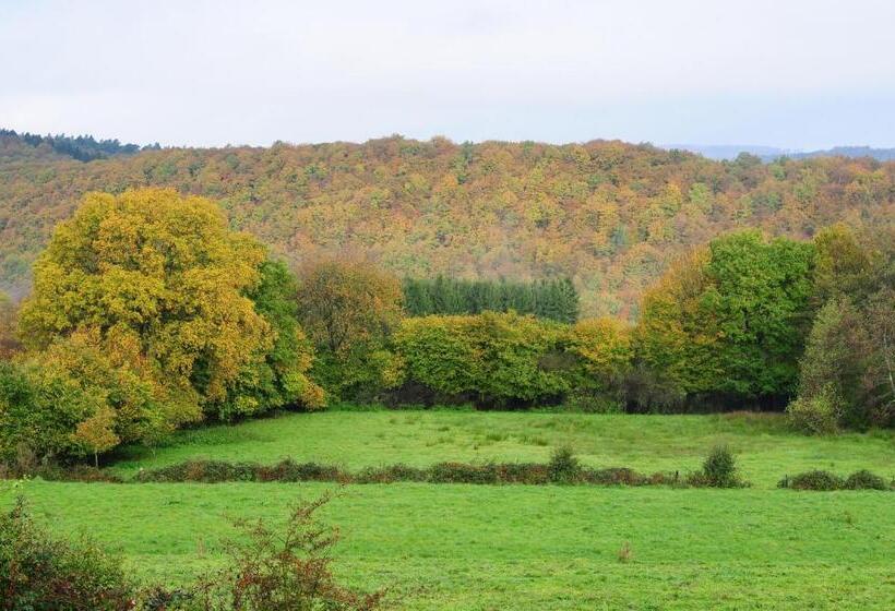 Bed and Breakfast Maison D'hôtes Cerf'titude