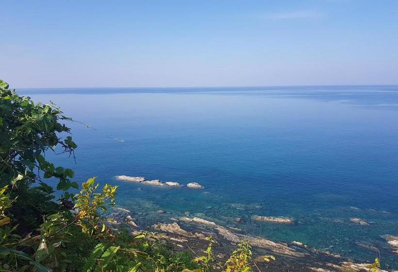 Coconut Island Resort