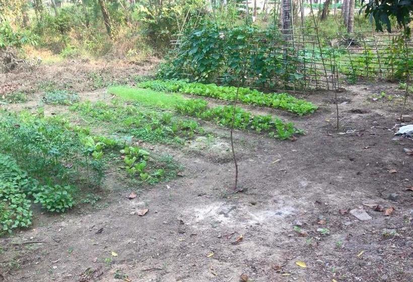 Coconut Island Resort