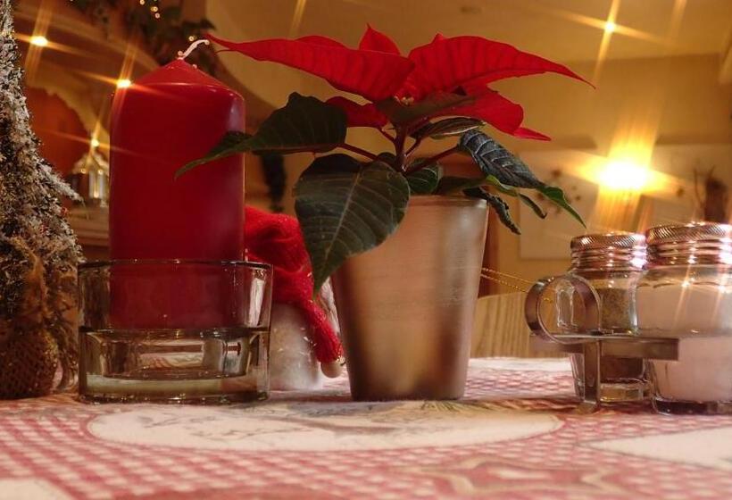 酒店 Pension Alpenblick Schattwald