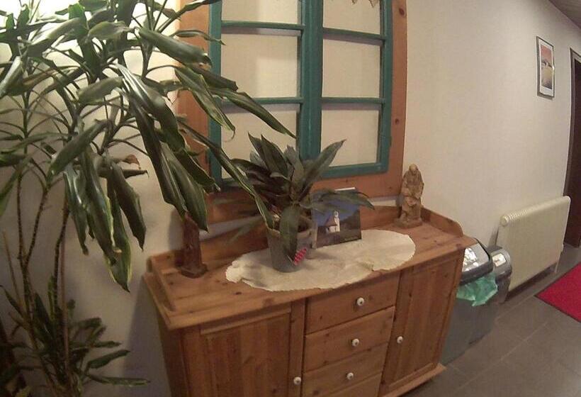 酒店 Pension Alpenblick Schattwald