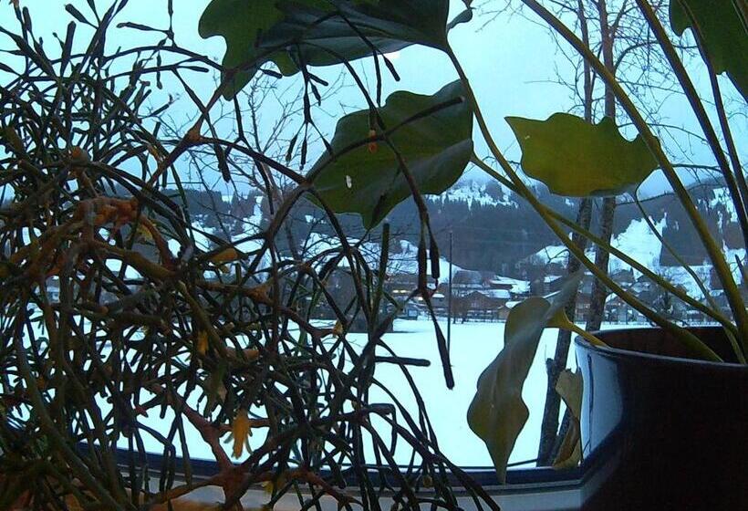 酒店 Pension Alpenblick Schattwald