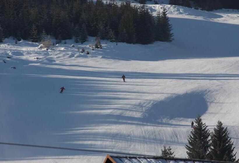 酒店 Pension Alpenblick Schattwald