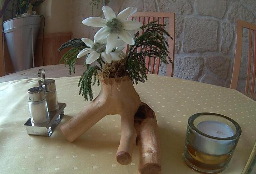 酒店 Pension Alpenblick Schattwald