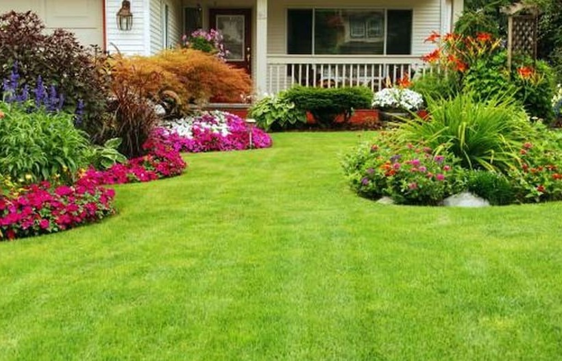 Hôtel Bottomhill Palace