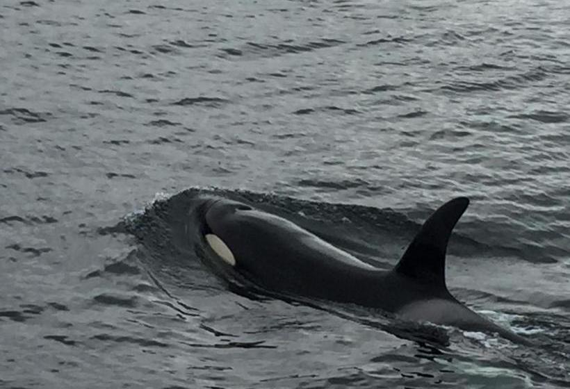 Отель Breiview Guest House