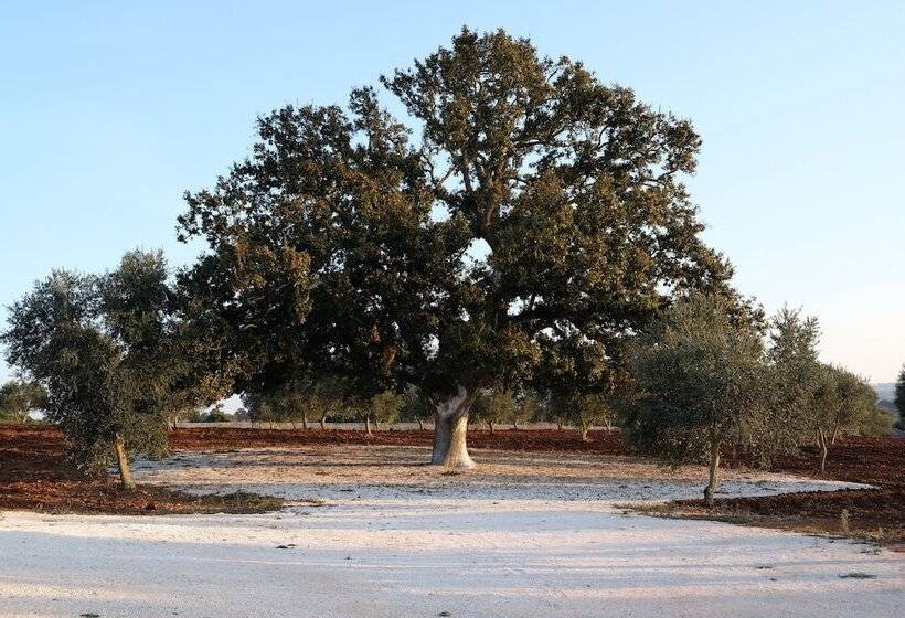 호텔 Masseria Grieco