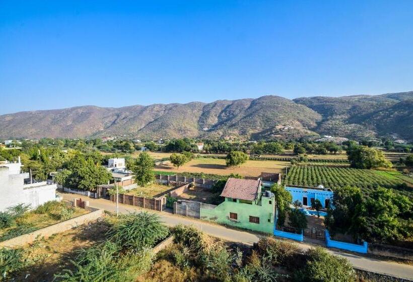 Отель Blue Lotus