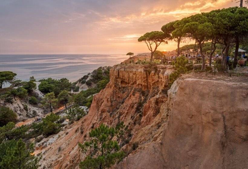 ホテル Pine Cliffs Gardens