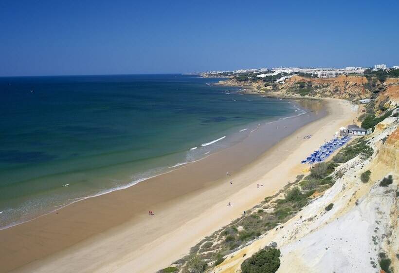 ホテル Pine Cliffs Gardens