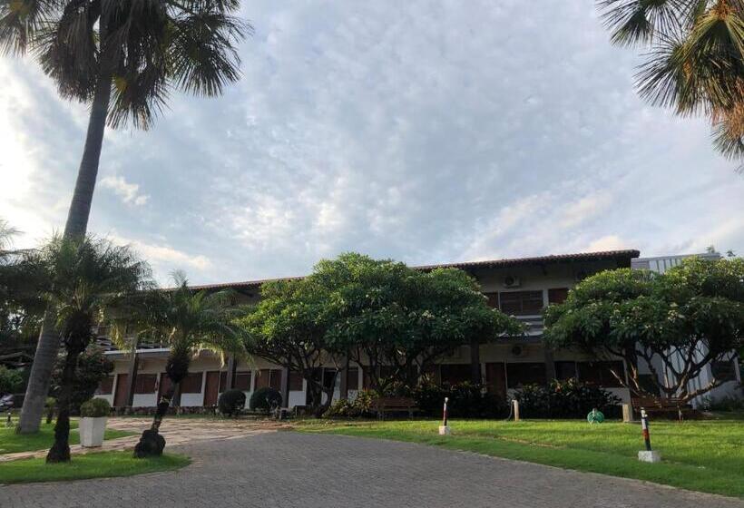 Отель Pousada Das Palmeiras