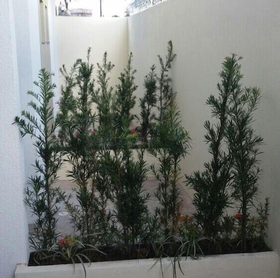 בית מלון כפרי Ribeirãozinho