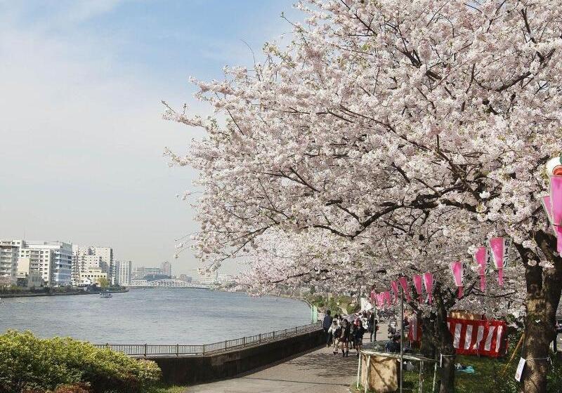 בית מלון כפרי Sakura Sky