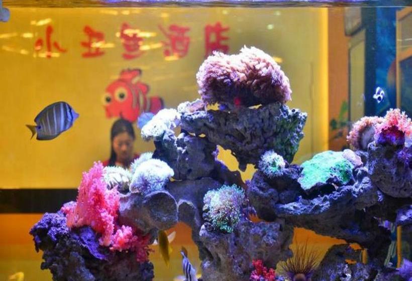 호텔 Shenzhen Clownfish
