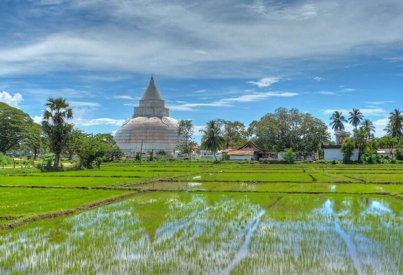 호텔 The Rain Tree