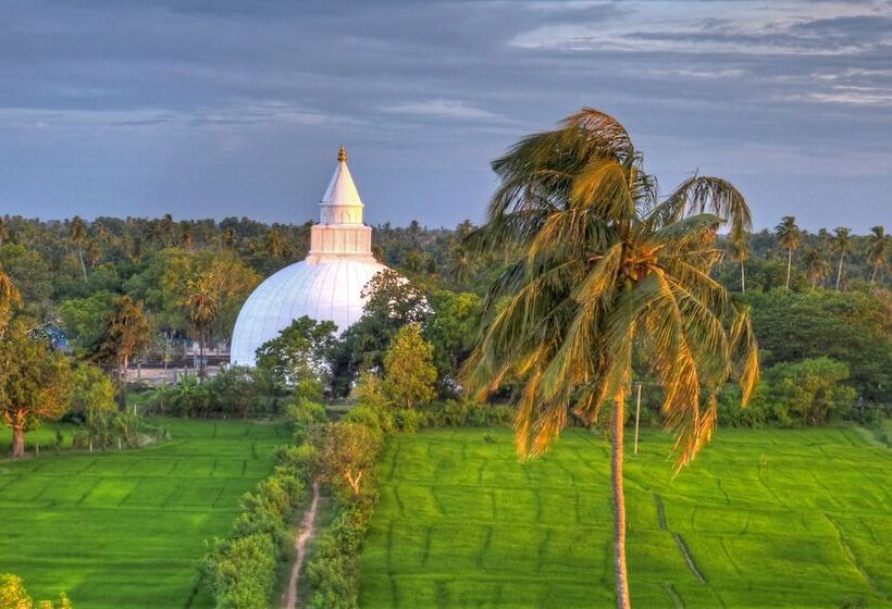 호텔 The Rain Tree