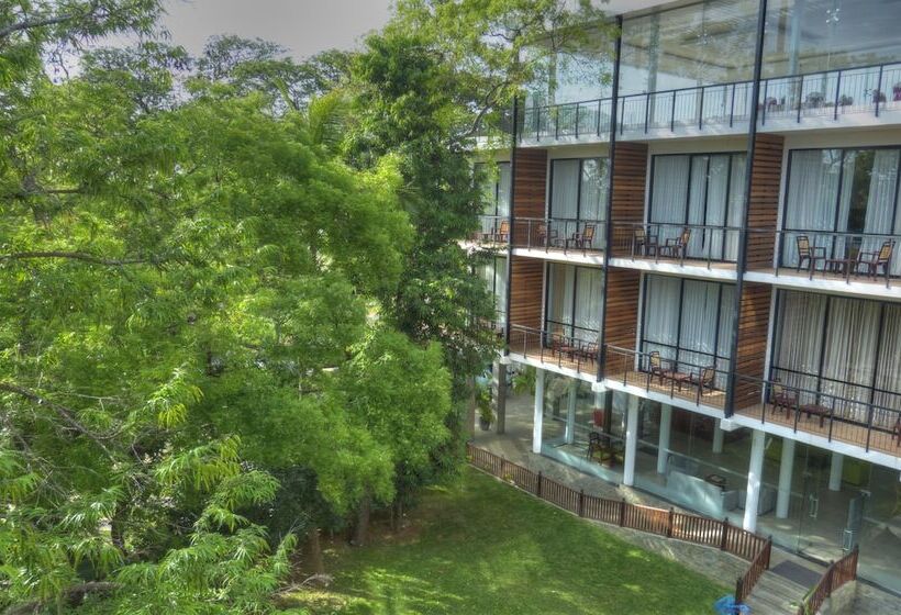 호텔 The Rain Tree