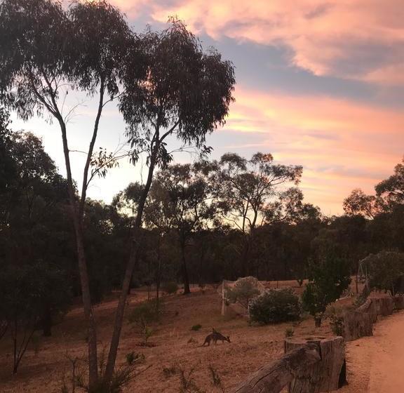 فندق Warrenmang Vineyard Resort